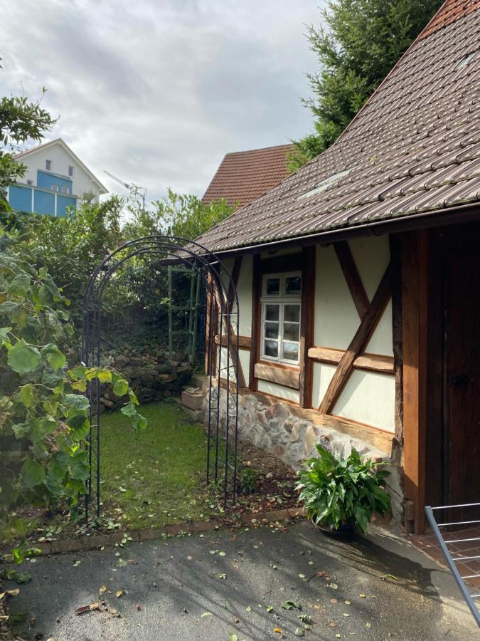 Basler Ferienwohnung ออฟเฟนบูร์ก ภายนอก รูปภาพ