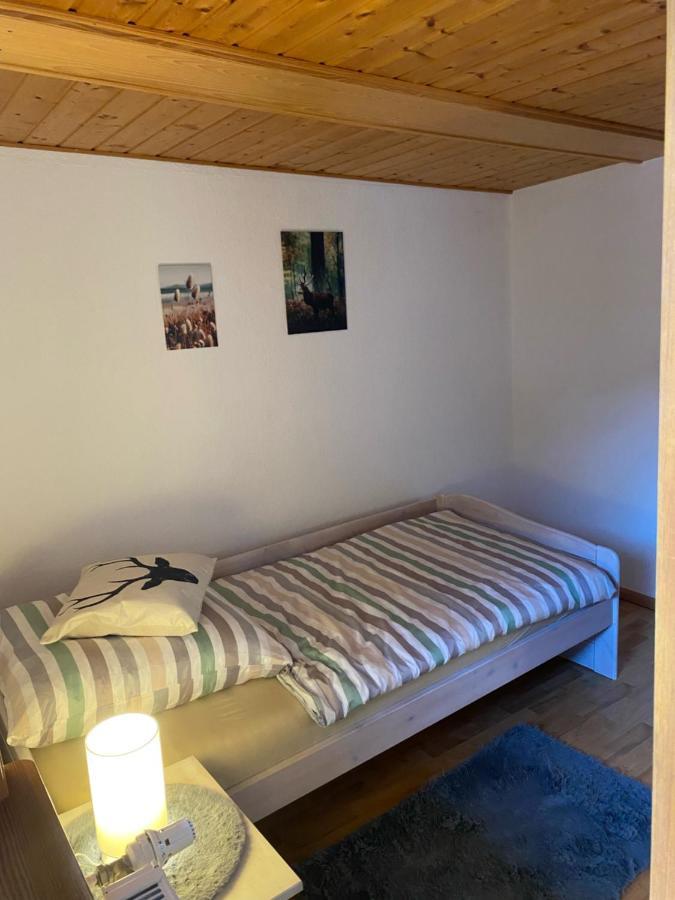 Basler Ferienwohnung ออฟเฟนบูร์ก ภายนอก รูปภาพ